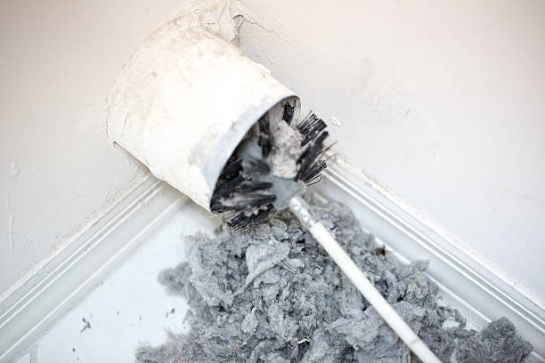 Best Affordable Duct Cleaning Services  in Oak Park, MI